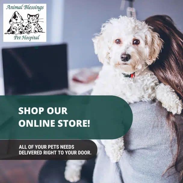 shop our online store graphics
